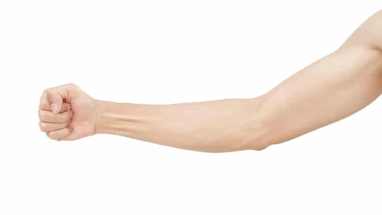 Arm vs Forearm: What’s the Real Difference?