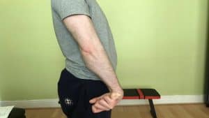 Forearm Workout at Home and Exercises Without Weights