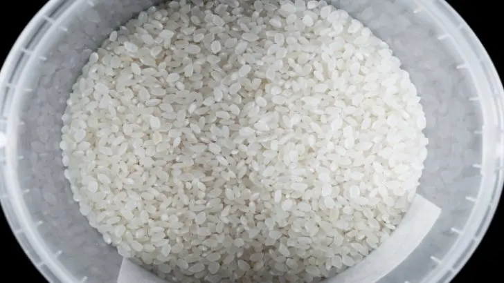 Rice bucket training, exercises, and workout routine for baseball players and athletes