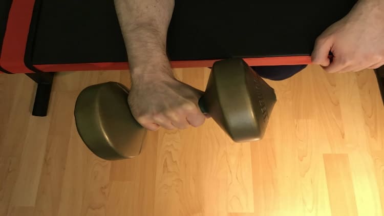 Dumbbell Wrist Extension Correct Form And Benefits