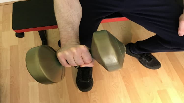 Dumbbell Wrist Extension Correct Form And Benefits