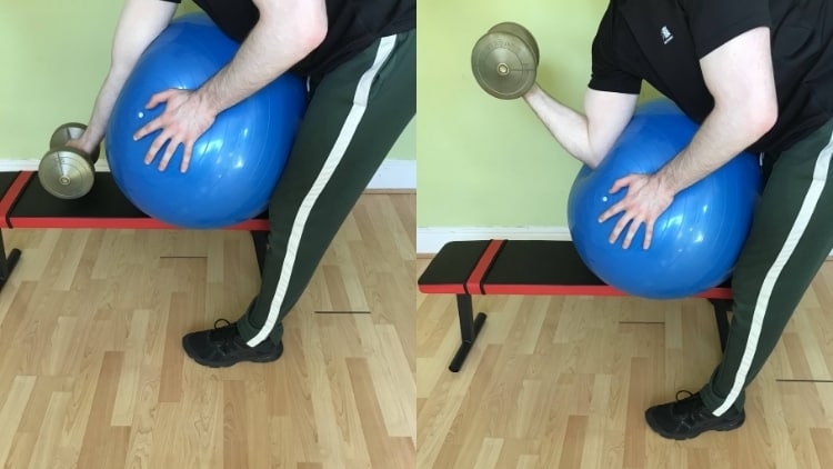 Swiss Ball Bicep Curls And Exercises