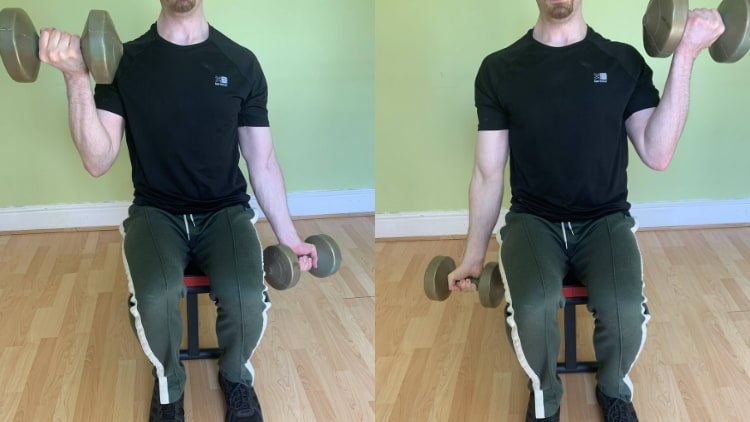 Alternating Dumbbell Curl Tutorial (Standing and Seated)