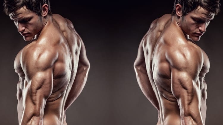A muscular man with symmetrical triceps