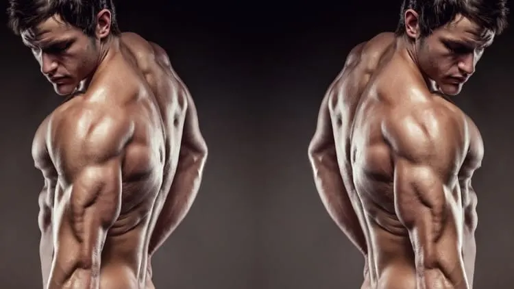 A muscular man with symmetrical triceps