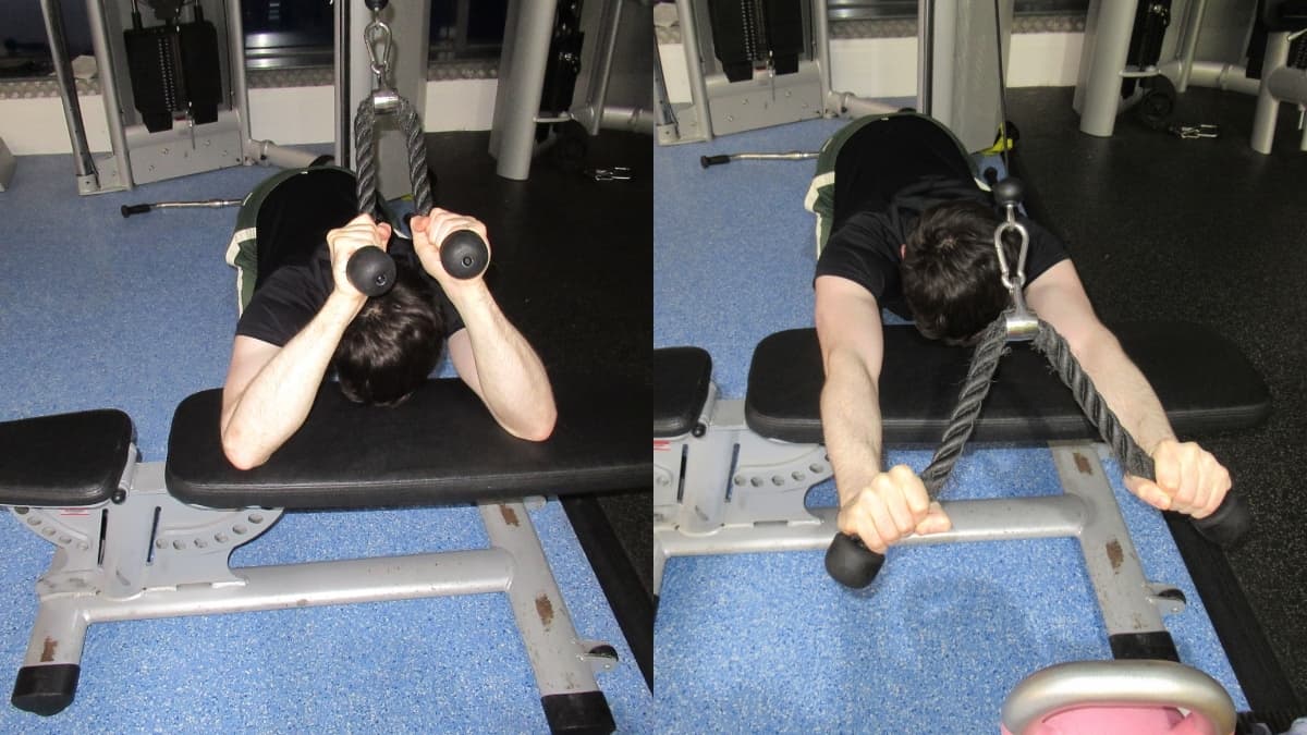 A man doing a kneeling cable triceps extension at the gym