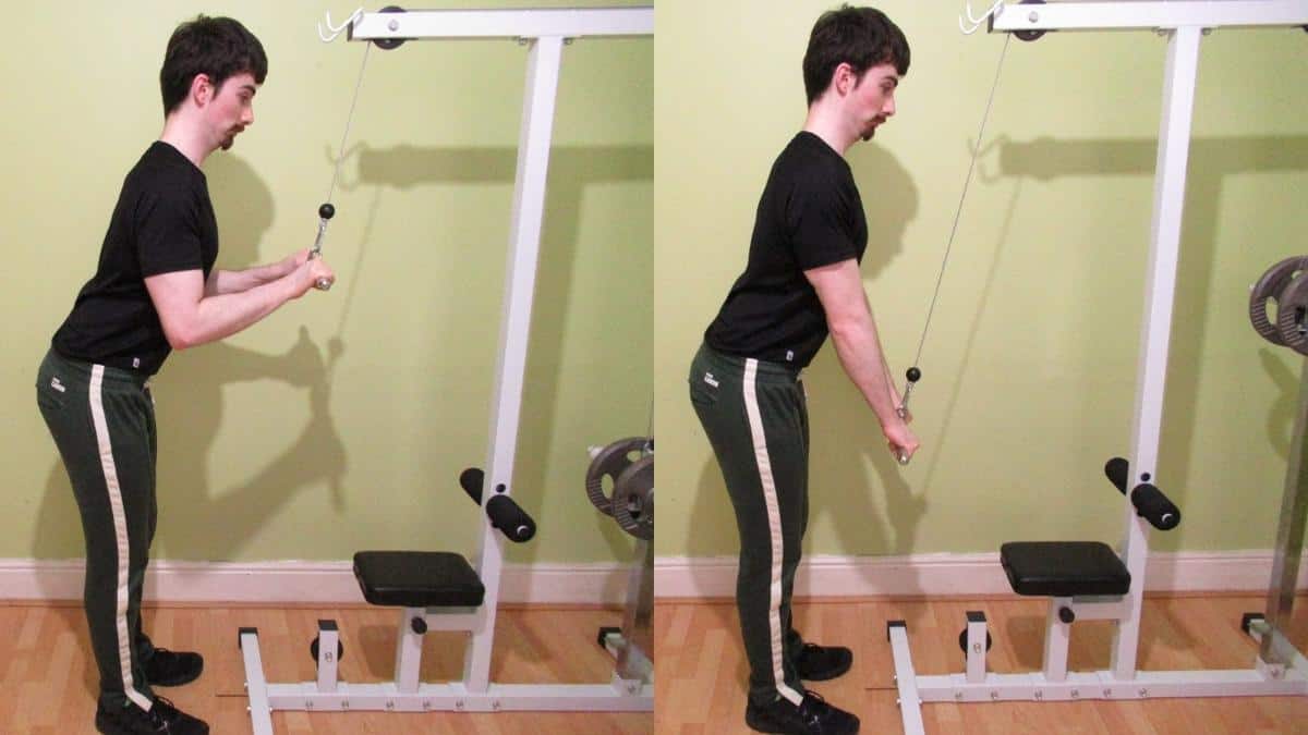 Close Grip Tricep Pushdown: The Complete Guide