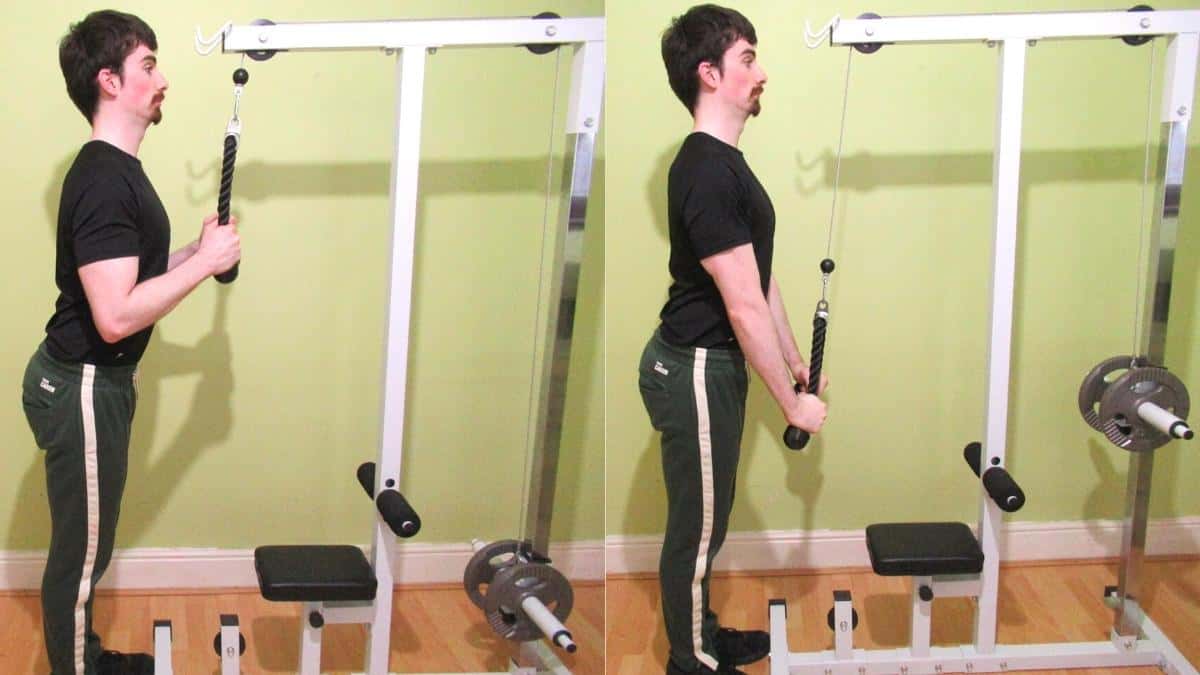 How To Do a Cable Rope Tricep Pushdown