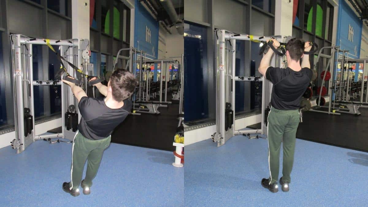 TRX bicep curl form and variations