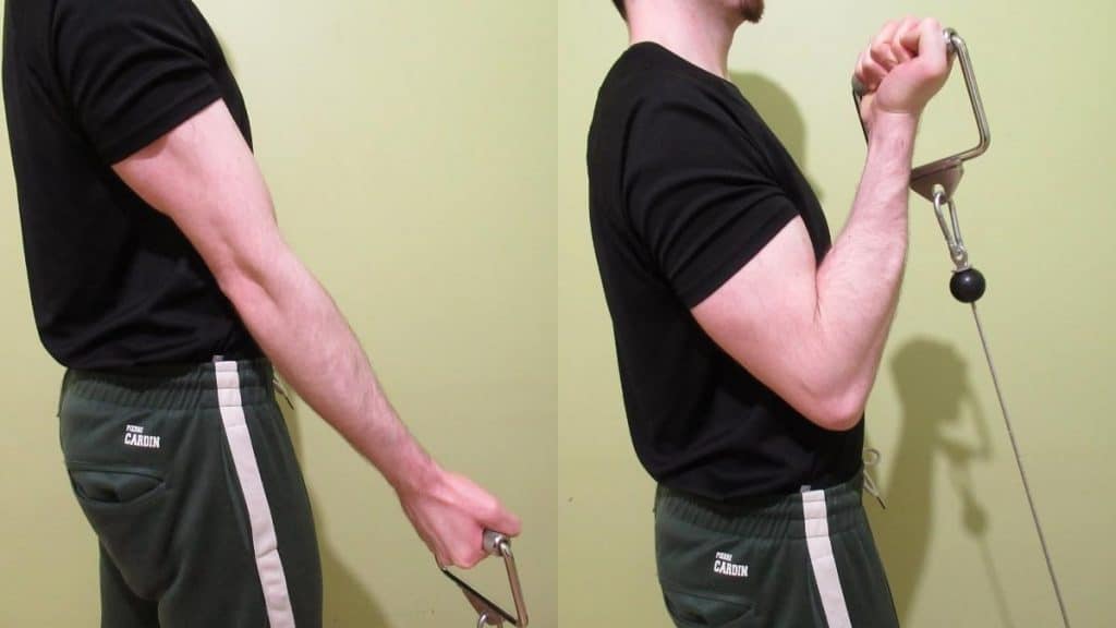 A man doing a 1 arm cable curl with a single handle