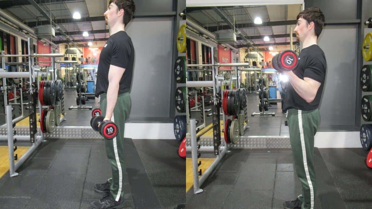 A man doing a 10 kg bicep curl with dumbbells