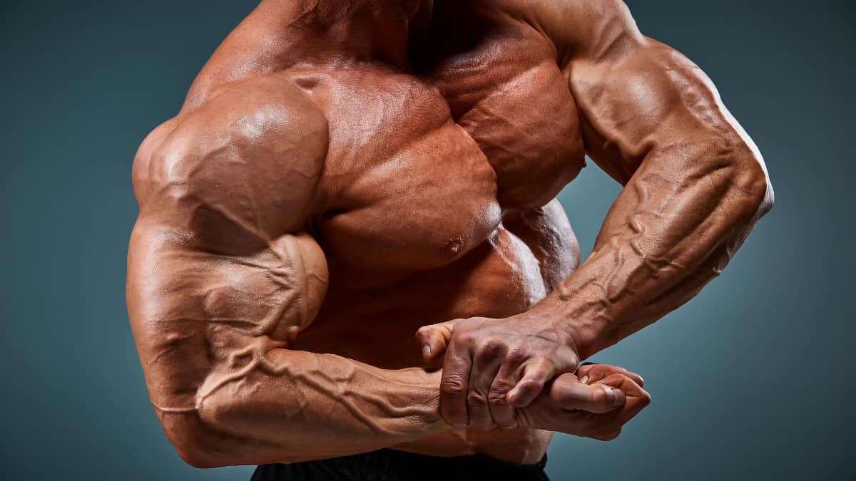 A bodybuilder flexing his 21 inch biceps