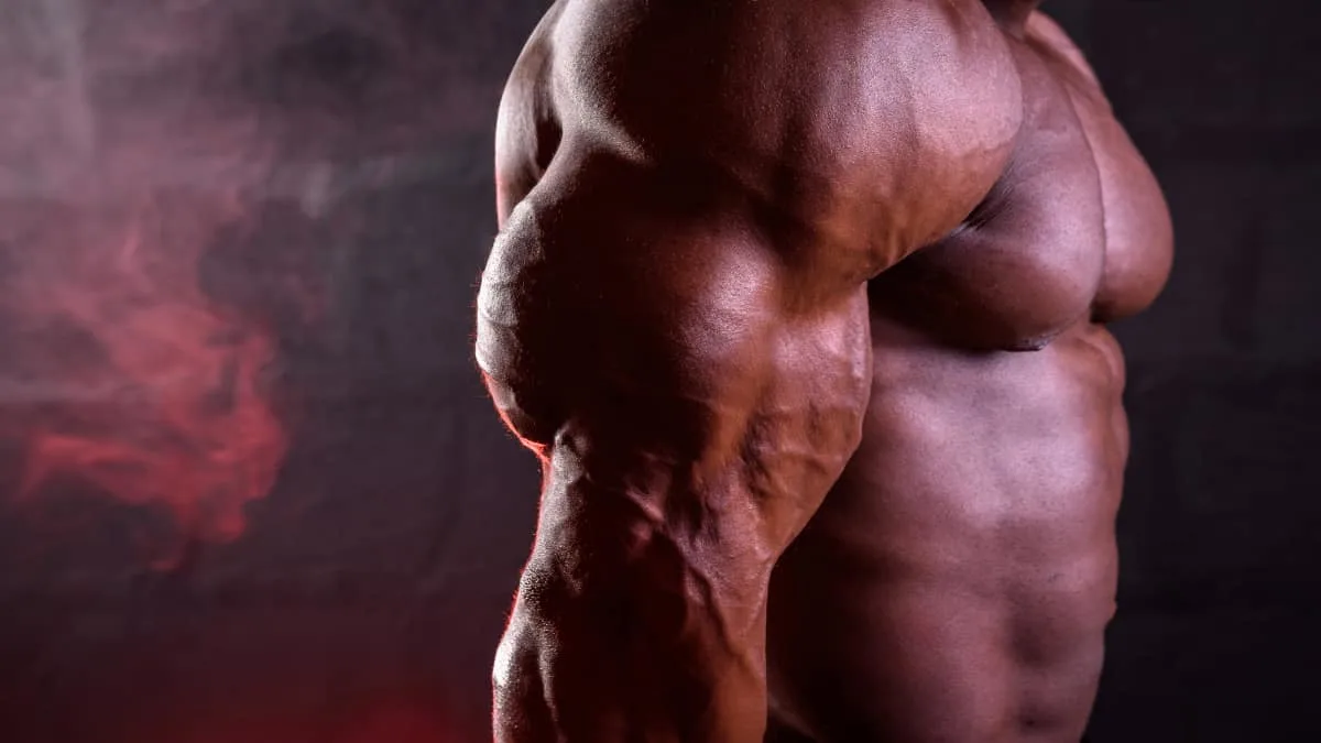 A bodybuilder with massive 26 inch arms