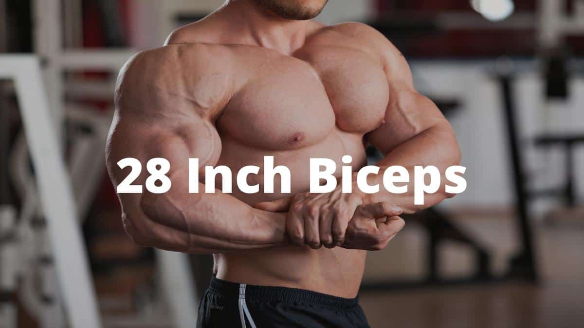 Meet the bodybuilders with 28 inch biceps