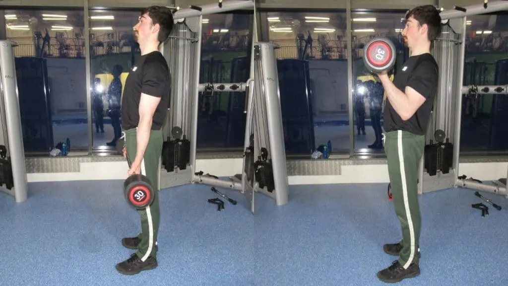 A man doing 30 lb biceps curls with a barbell