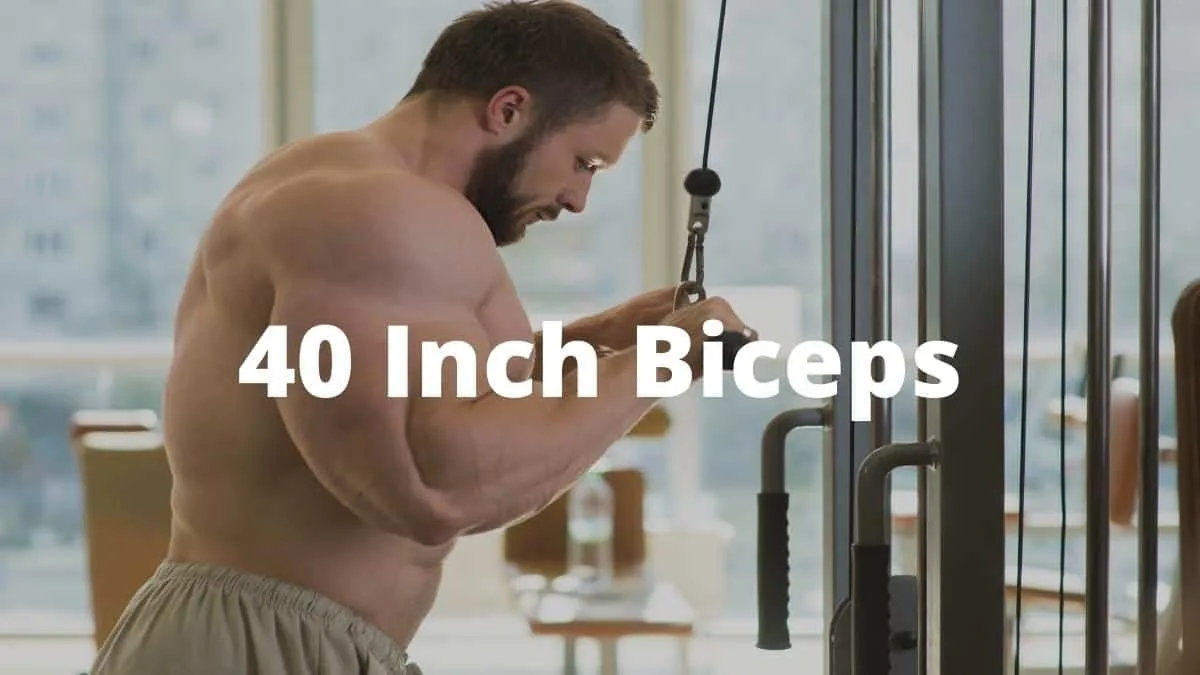 A man training his massive 40 inch biceps