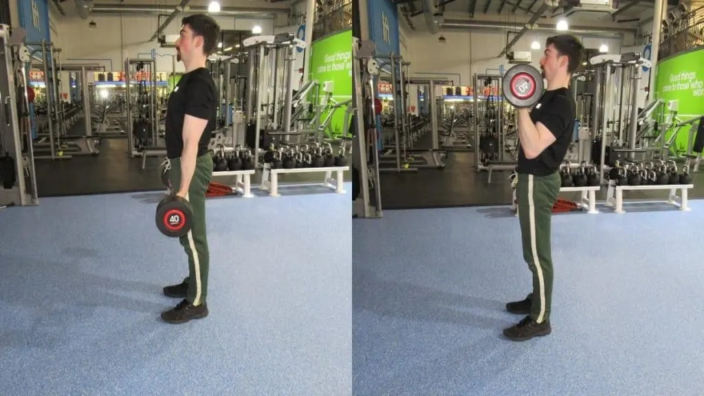 A man performing a 40 lb barbell curl for his biceps