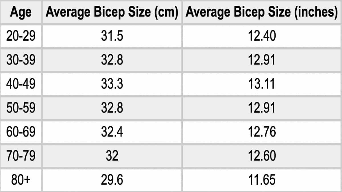An arm size chart showing the average female bicep size