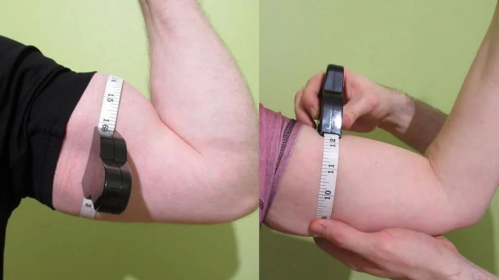 Two people showing the average flexed bicep size