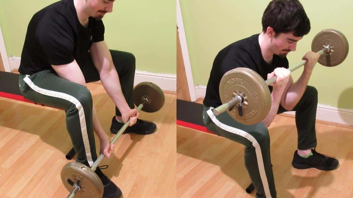 A man performing a barbell concentration curl for his biceps