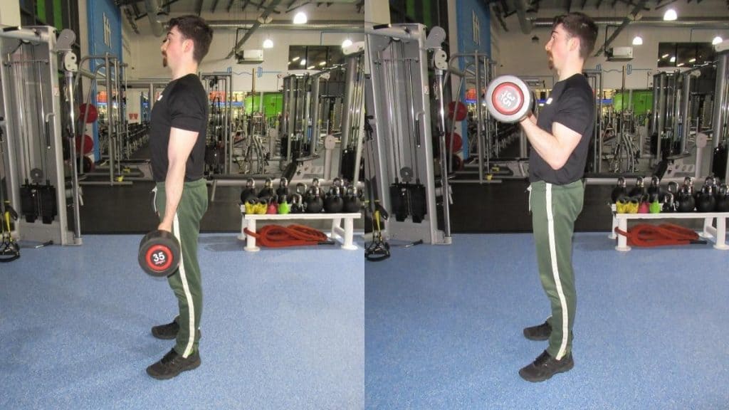 A man demonstrating some good barbell curl strength standards for biceps