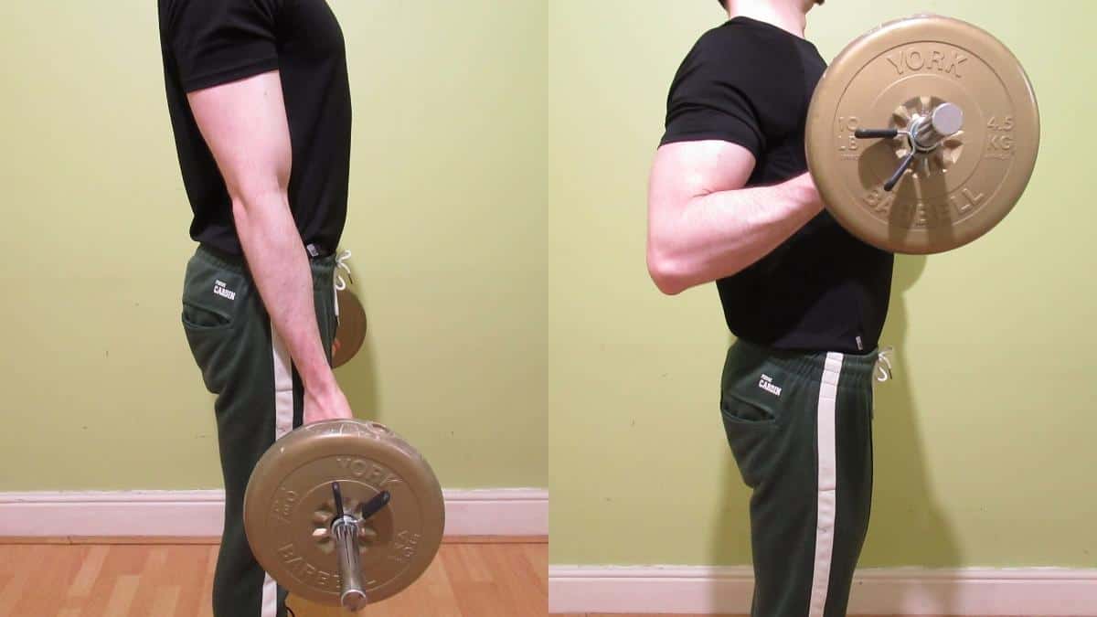 A man doing a barbell drag curl for his biceps
