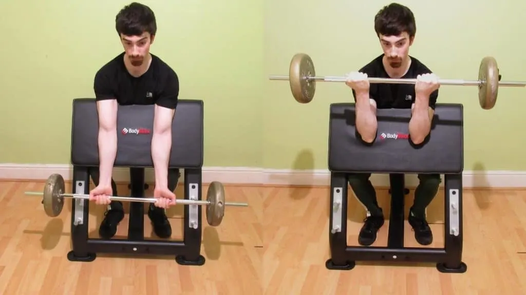 A man performing a barbell preacher curl to work his biceps