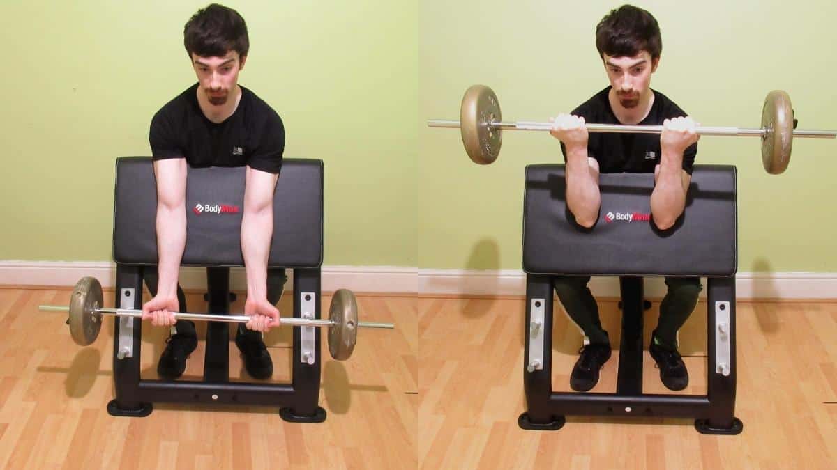 Barbell preacher curl tutorial, advantages, and disadvantages