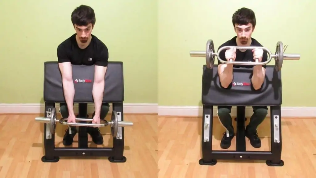 A man performing a barbell preacher hammer curl