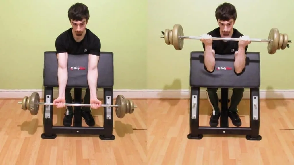 A man performing barbell Scott curls