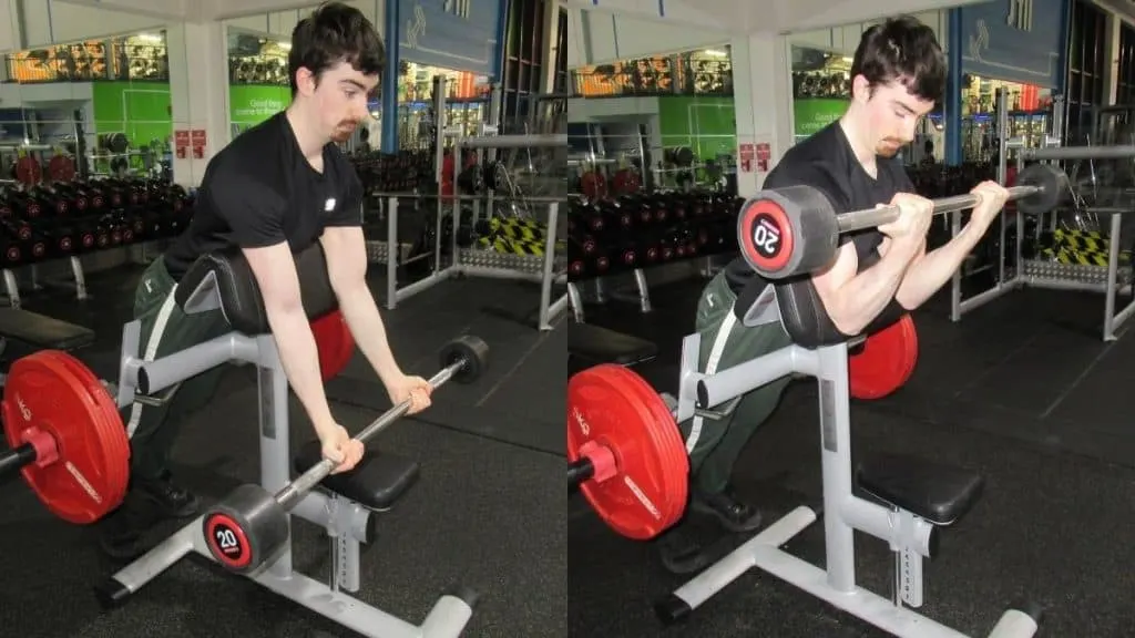 A man performing barbell spider curls for his biceps