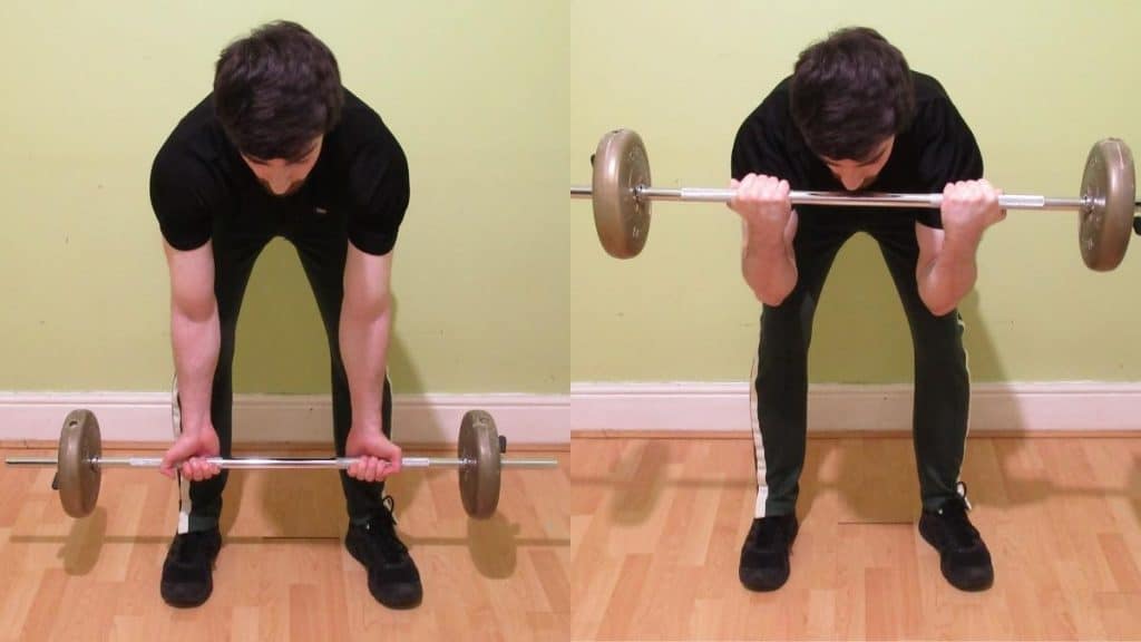 A man performing bent over barbell concentration curls