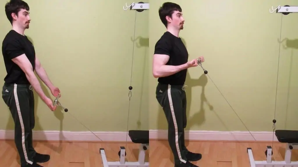 A man performing a low pulley bicep curl on the cable machine