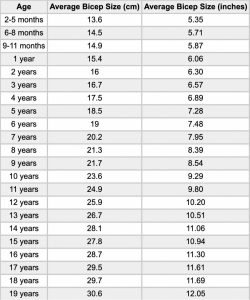 Average Bicep Size and Circumference (Males, Females, Teens)