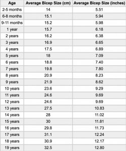 Average Bicep Size and Circumference (Males, Females, Teens)