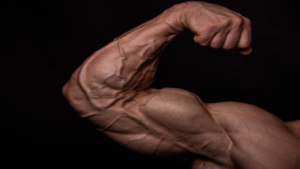 A bodybuilder flexing his muscular arm