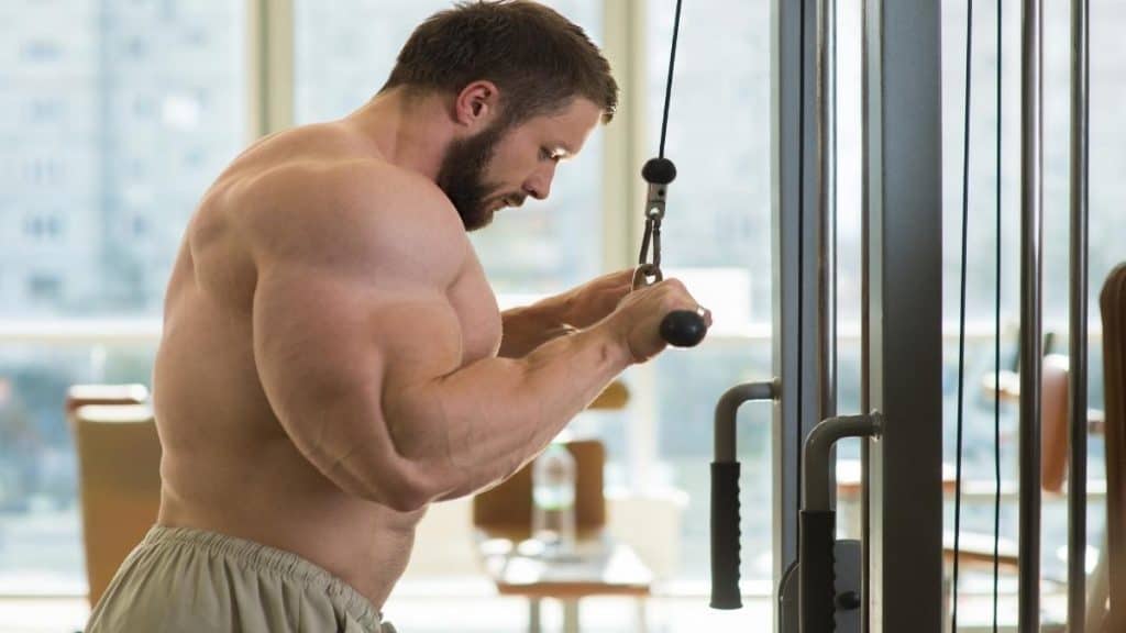 A big bodybuilder working his arms in the gym