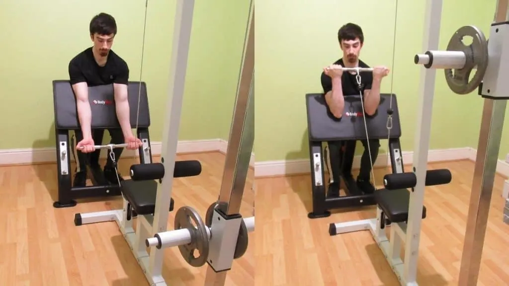 A man doing cable preacher curls to train his biceps