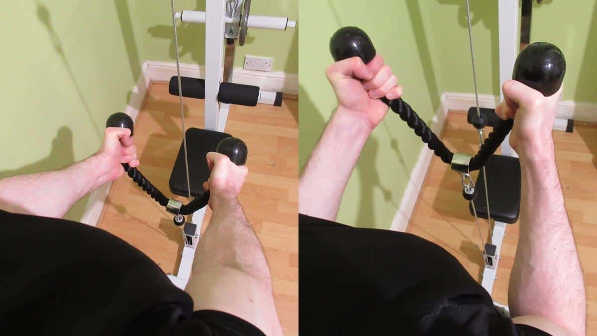 Cable Hammer Curls With a Rope (Bicep Tutorial)