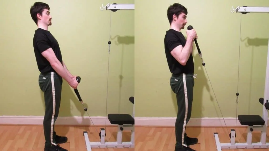 A man doing cable rope hammer curls for his biceps