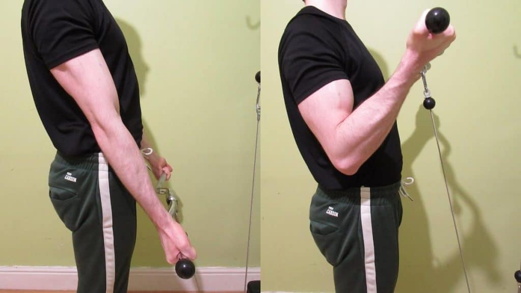 A man performing cable wide curls for his biceps