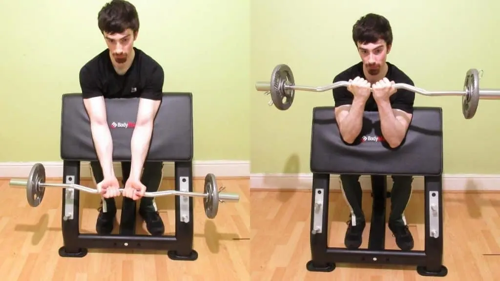 A man doing a close grip EZ bar preacher curl