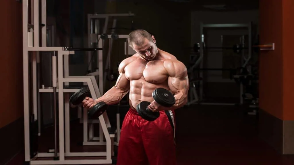 A bodybuilder bicep curling 60 pound dumbbells