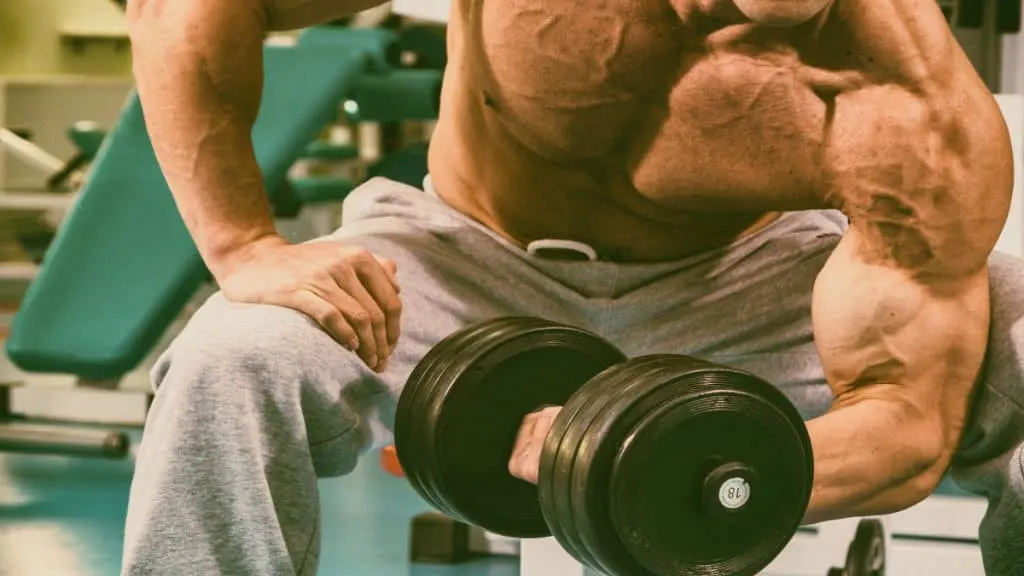 A bodybuilder bicep curling 80 lb dumbbells