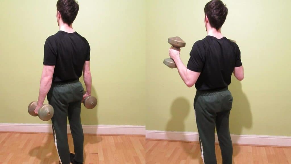 A man demonstrating the proper DB hammer curl form