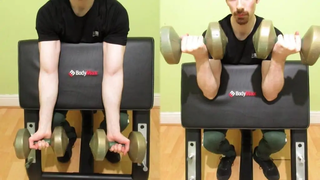 A man performing DB preacher curls with good form