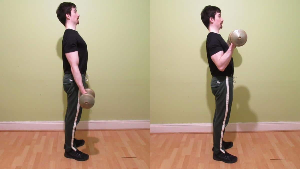 Standing Dumbbell Bicep Curls Form And Benefits