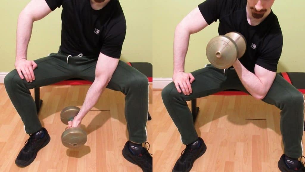 A man performing a seated dumbbell concentration curl to work his biceps