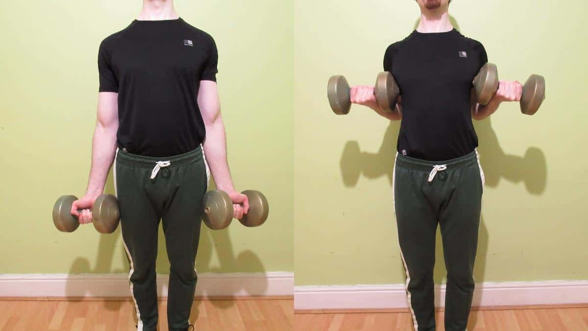 Dumbbell Drag Curl Exercise Guide Tutorial 1445