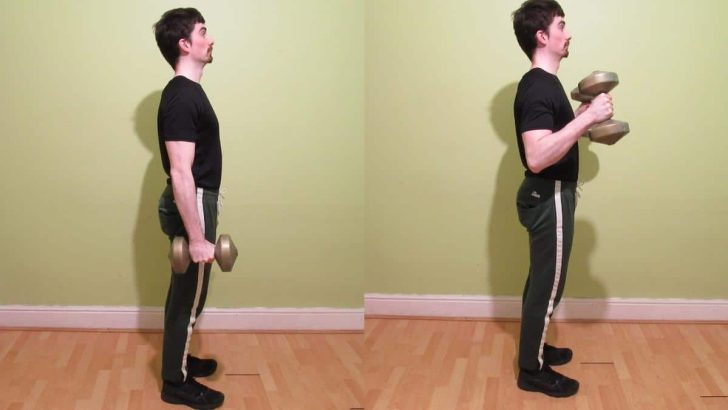 Dumbbell hammer curls muscles worked, form, and benefits
